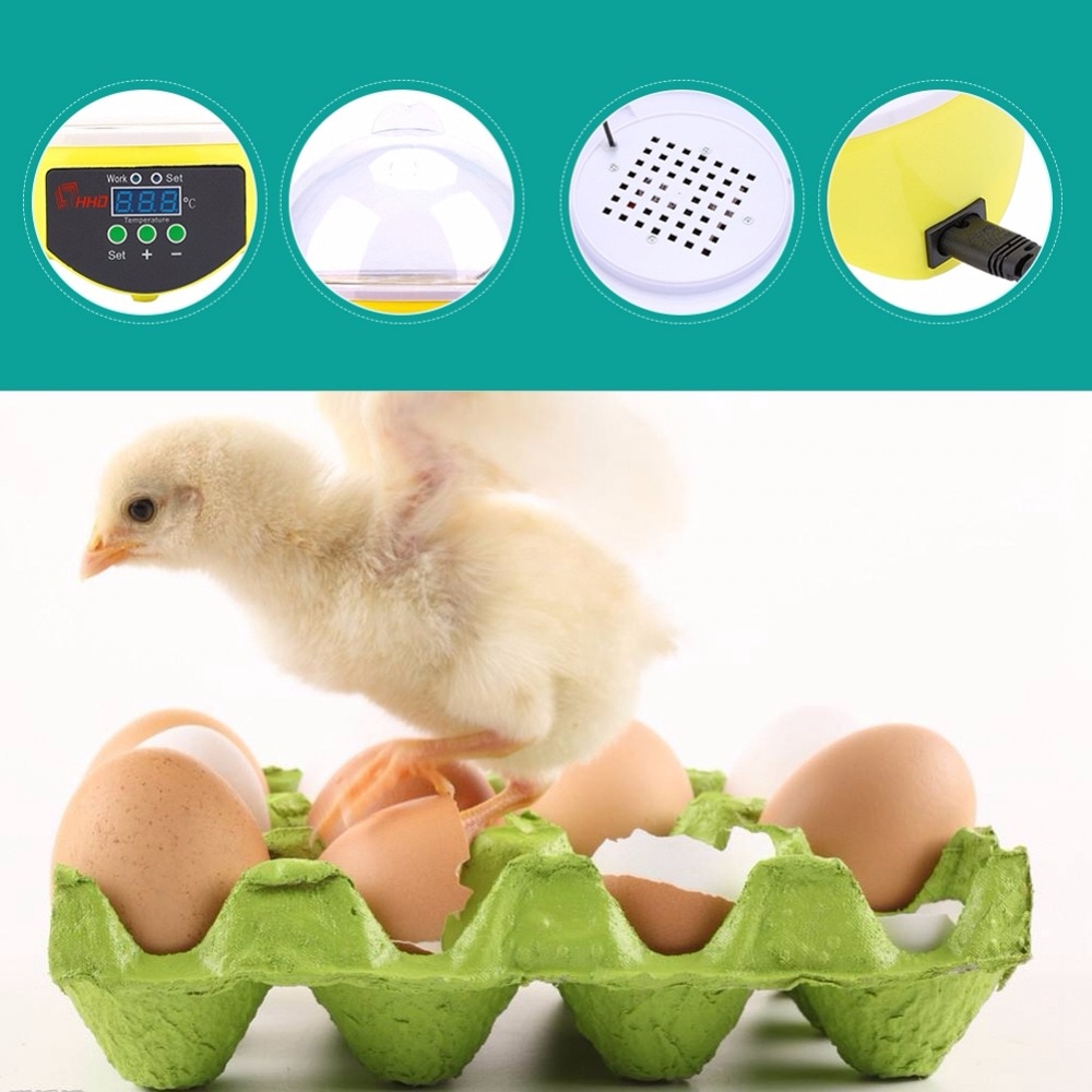 Stimulate children’s curiosity！ Mini Egg Incubator 7 Eggs Capacity Incubator
